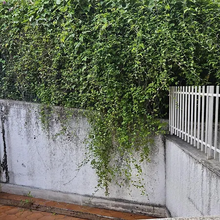 Carola Apartament